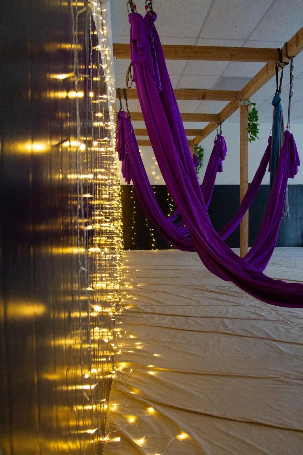 Purple silk hammocks glowing with warm fairy lights in the yoga studio
